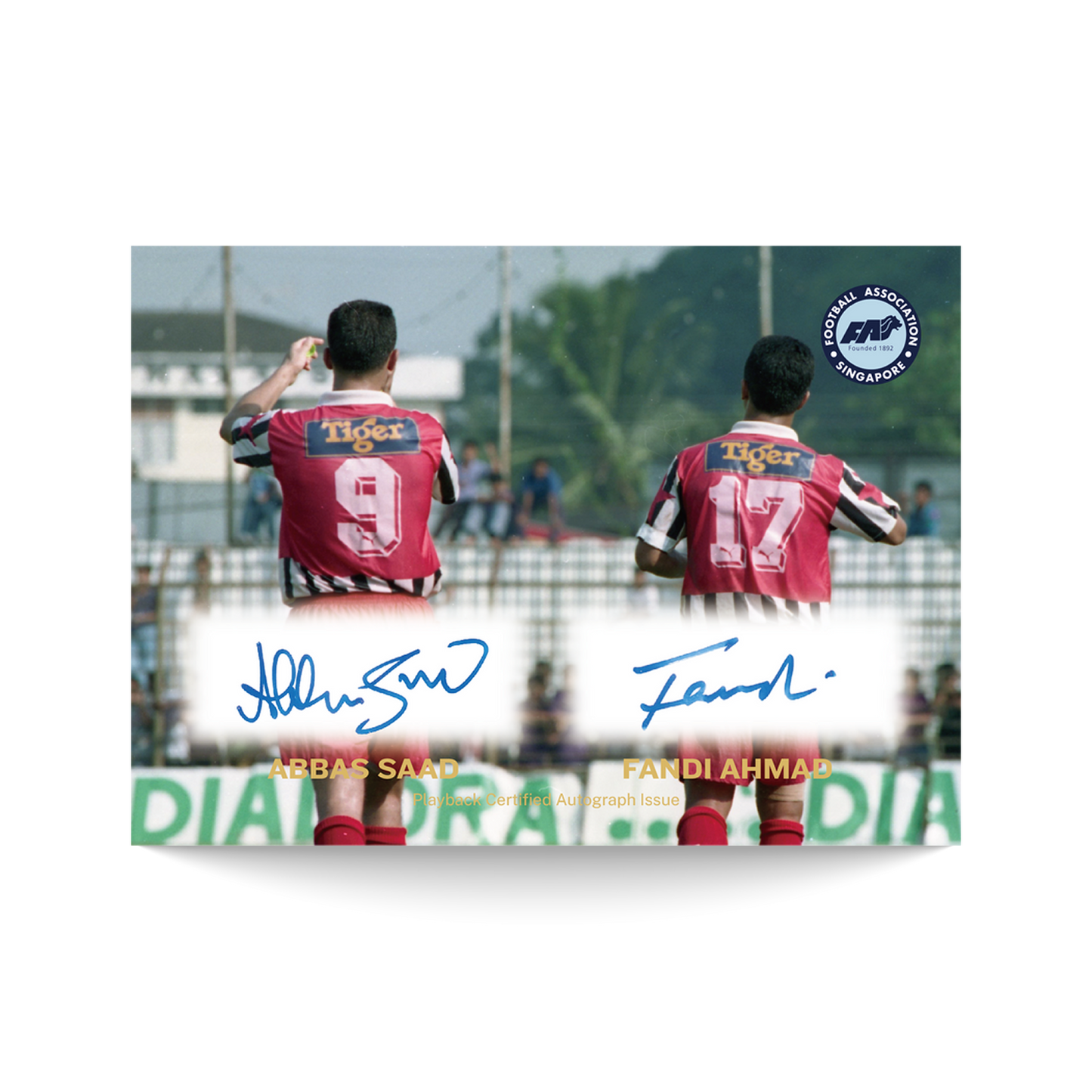 1994 Playback Legacy Collection Box